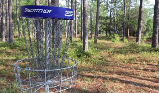 Disc Golf4