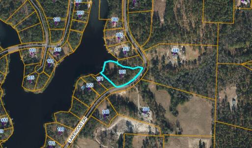 305 Lakewood - Aerial view