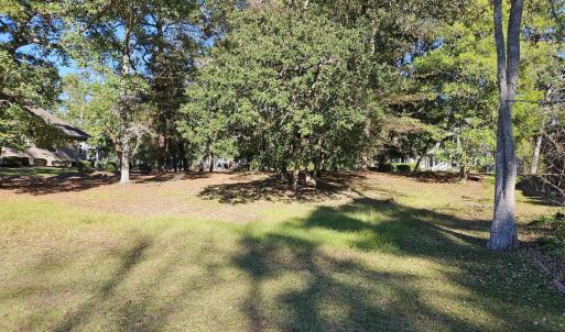 20251030_153028_resized