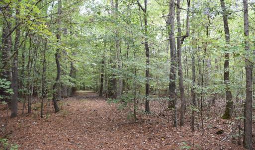 12.4 acs- Sand Hills Rd