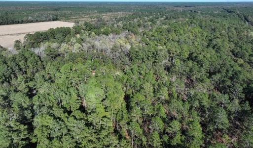 DJI_20251021081335_0686_D