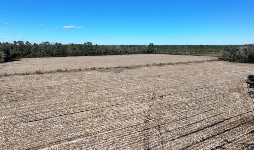 DJI_20251021073603_0666_D