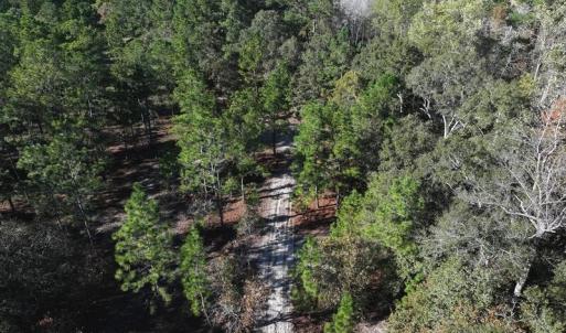 DJI_20251021081217_0681_D