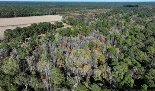 DJI_20251021081237_0682_D