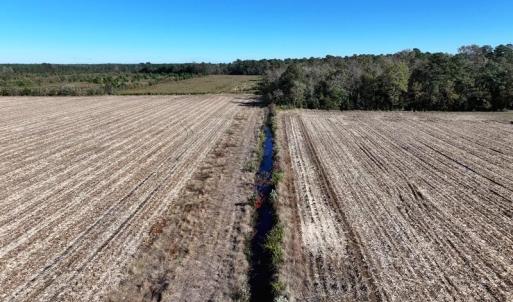 DJI_20251021073631_0667_D