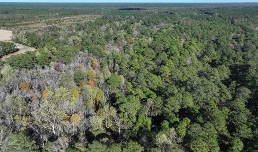 DJI_20251021081241_0683_D