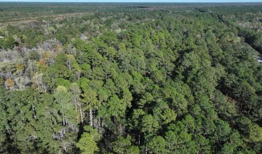 DJI_20251021081255_0684_D