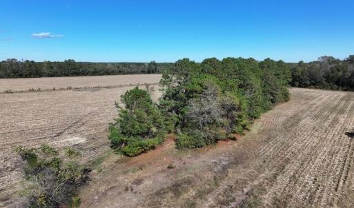 DJI_20251021073544_0665_D