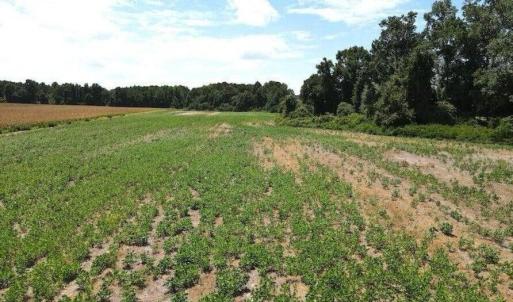 20250507184118213518000000-o