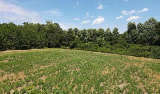 20250507184117632397000000-o