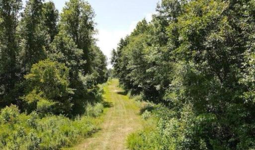 20250507184114513570000000-o