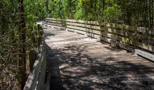 Brunswick Forest Ammenities-29