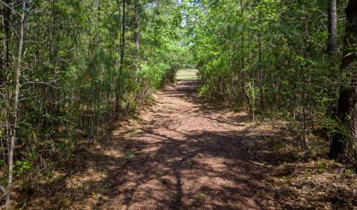 Brunswick Forest Ammenities-30