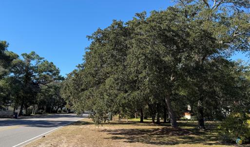 Road Side View