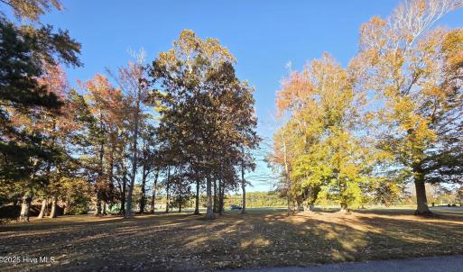 Fairway Lot Back view