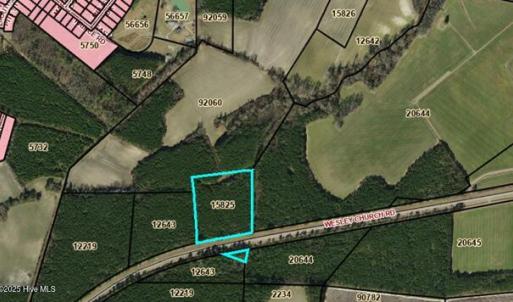 PARCEL 15825 LAND ABI TIMBER