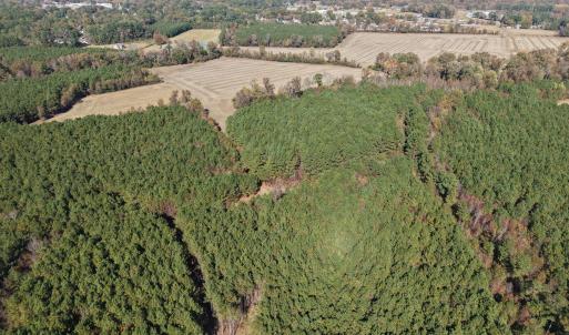 Drone Near Farmville-8