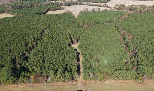 Drone Near Farmville-2