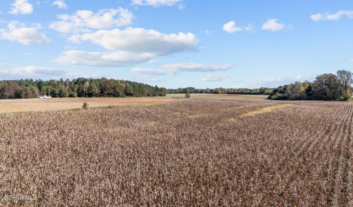 16-web-or-mls-DJI_20251024135645_0355_D