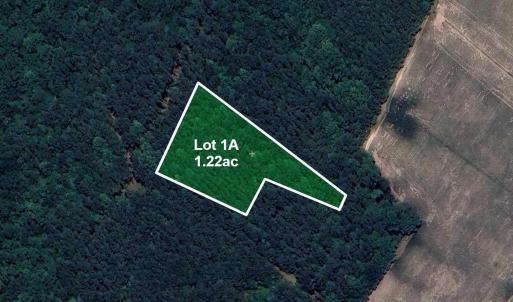 Lots1A-RiverBluff-Sat1