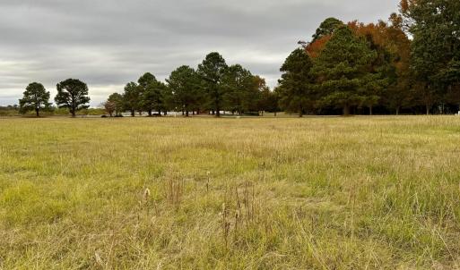 8DF46981-4B59-49CE-B55F-A4E71E8EEC99