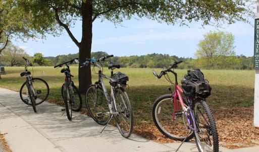 Bike Riding around the Local Area