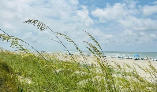 Local Beach