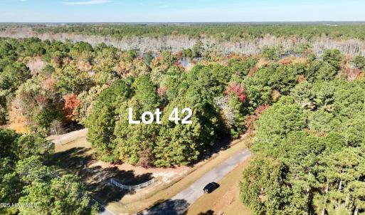Lot11
