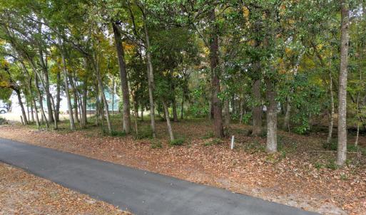 Peaceful, Natural Setting