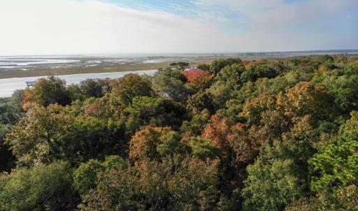 Convenient to Calabash