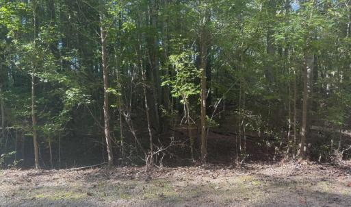 582109940_829601496503011_44909907959478