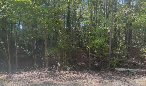 581084191_1342664583652644_5404844451613