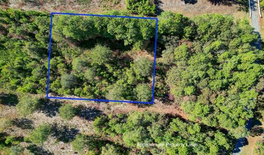 Approximate Lot Lines