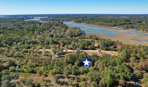 Marshfront Community