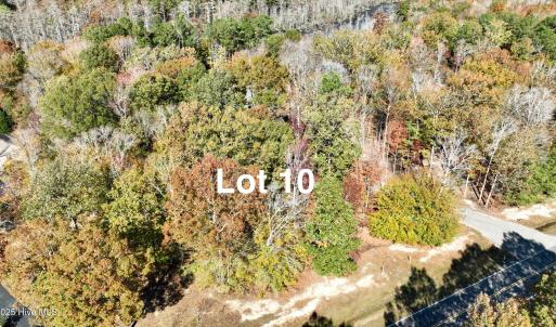 Lot15