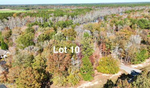 Lot11