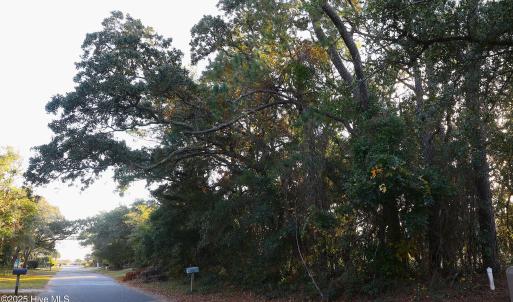 78th St 111 ET5A6708