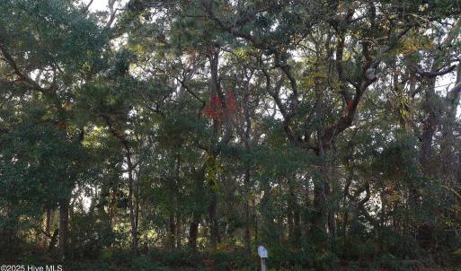 78th St. 111 ET5A6692