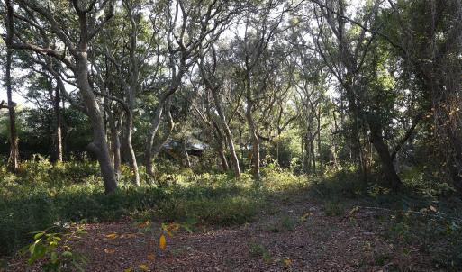 78th St. 111 ET5A6701