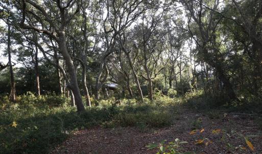 78th St. 111 ET5A6703