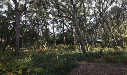 78th street 111 ET5A6704