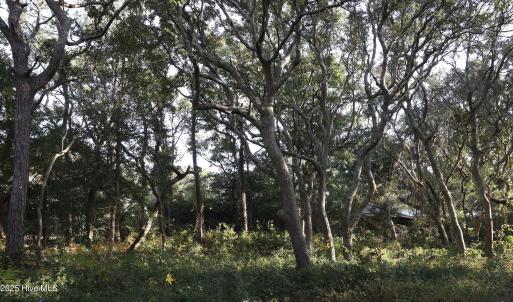 78th St. 111 ET5A6702