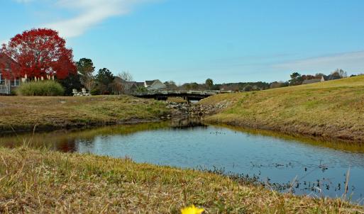 Lion's Paw Golf and Pond Views