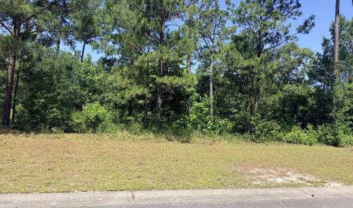 Photo #2 of 3808 Silver Melon, Leland, NC 0.4 acres