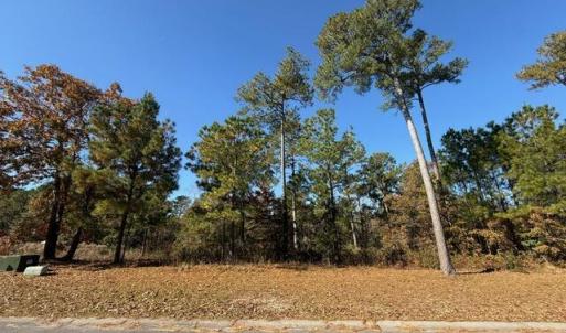 LOT 490