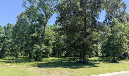 Photo #3 of 3805 River Park, Leland, NC 0.5 acres