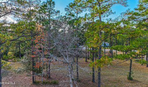 DJI_20251116152337_0878_D (1)