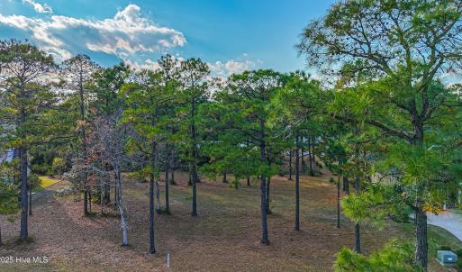 DJI_20251116152406_0881_D