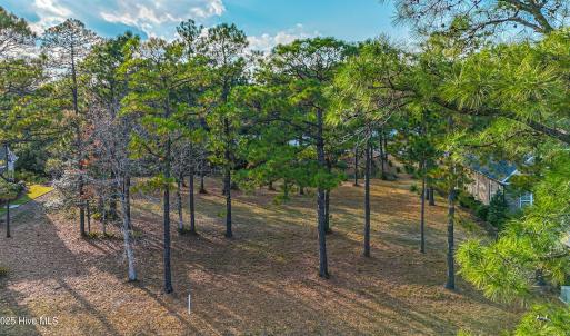 DJI_20251116152400_0880_D