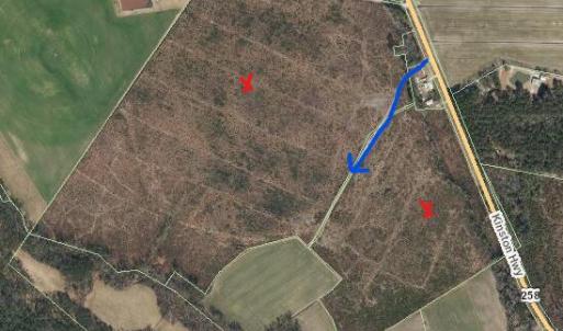 Screenshot 2025-11-17 171420